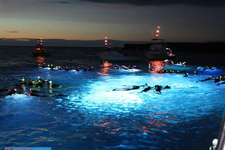 Manta Ray Snorkeling Tour