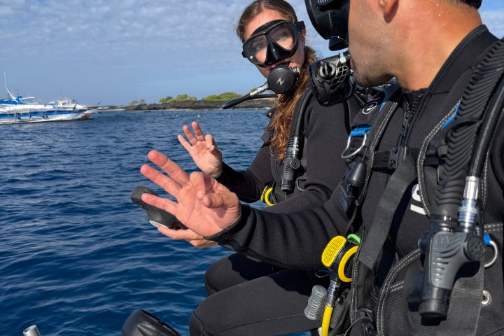 Two scuba divers on a boat, wearing gear, discussing while seated.