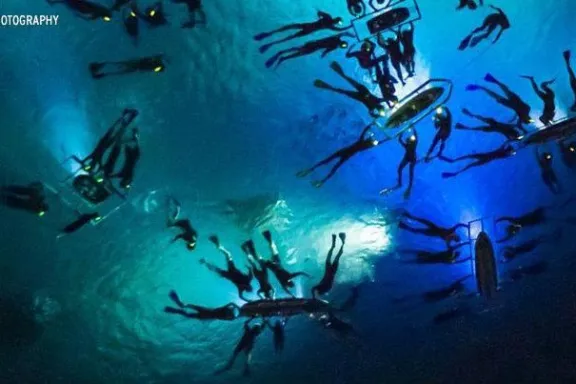 Snorkel Tour in Kailua-Kona