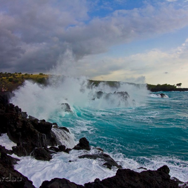 bo pardau photography