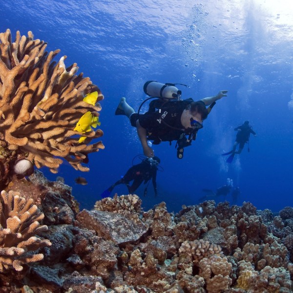 2-Tank Scuba Adventure