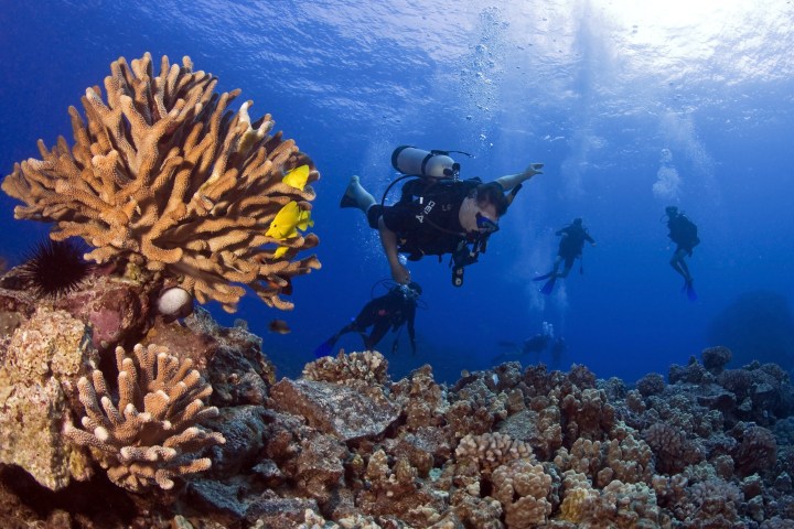 2-Tank Scuba Adventure