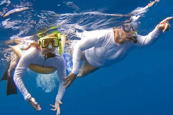 Private Snorkeling Tour In Kona