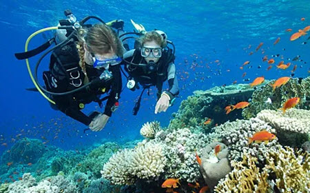 Kona Two-Tank SCUBA Dive Kona Two-Tank SCUBA Dive