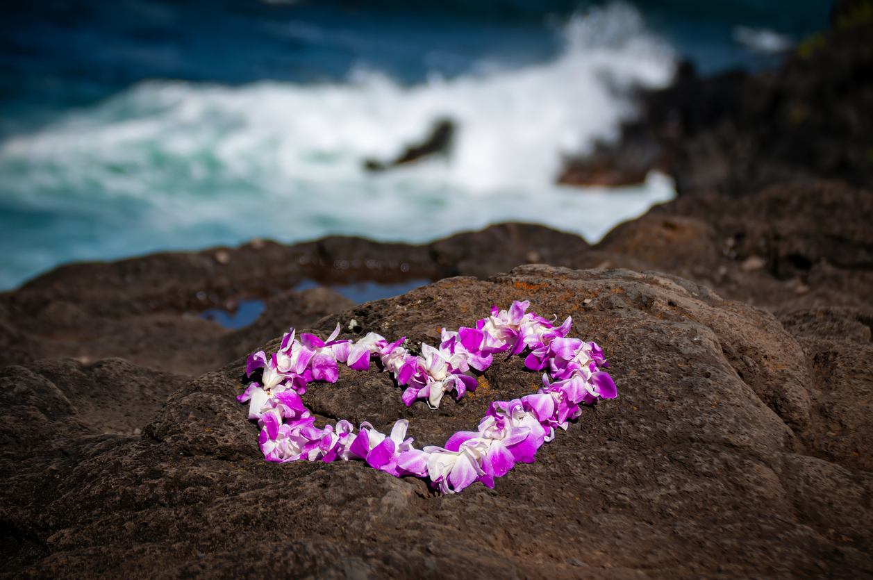 Hawaiian Lai Heart Hawaiian Lai heart on a rock along the ocean.