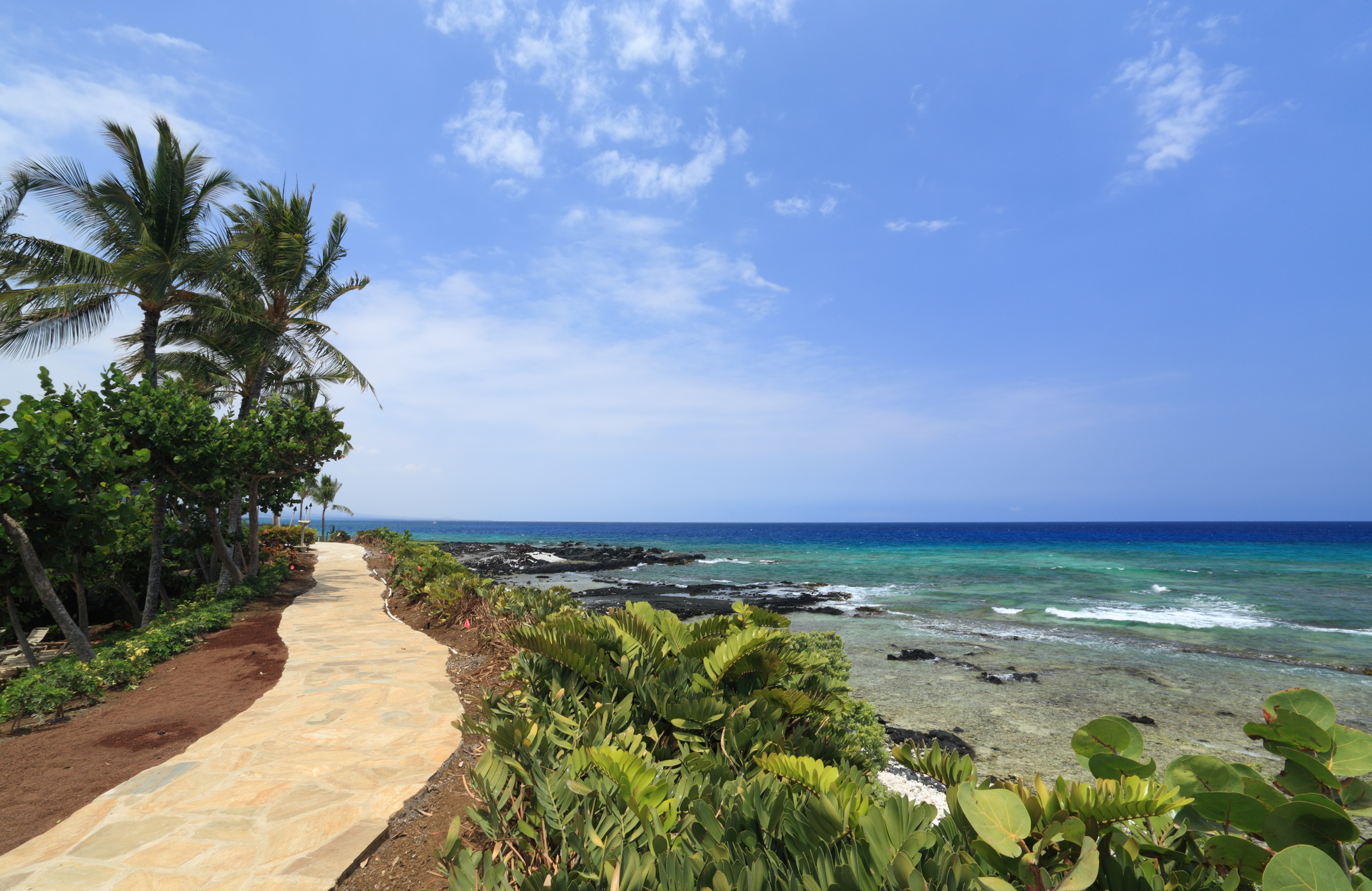 Scenic walkway along the Kona coastline with rocky shores and deep blue ocean views, an ideal vantage point for spotting whales in the distance.