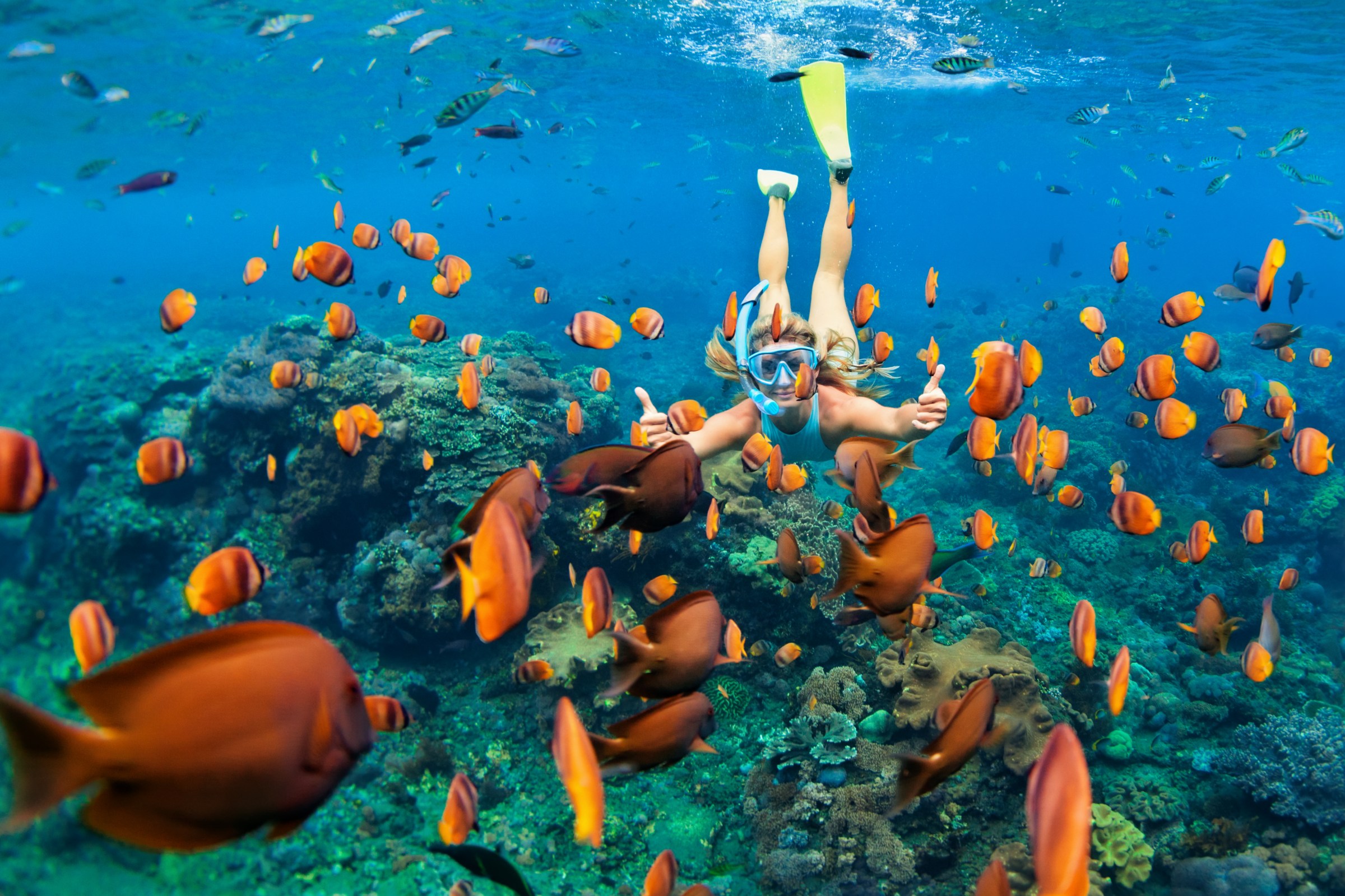 A woman snorkeling underwater with tropical fishes in the coral reef of Kona, Hawaii.