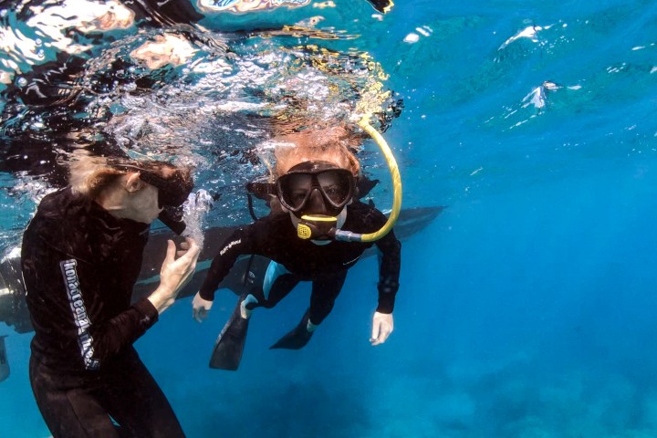 Two snorkelers underwater in clear blue water, wearing masks and wetsuits.
