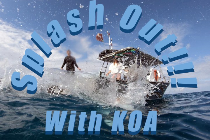 Person splashing into water near boat with text: 'Splash Out!!! With KOA'.