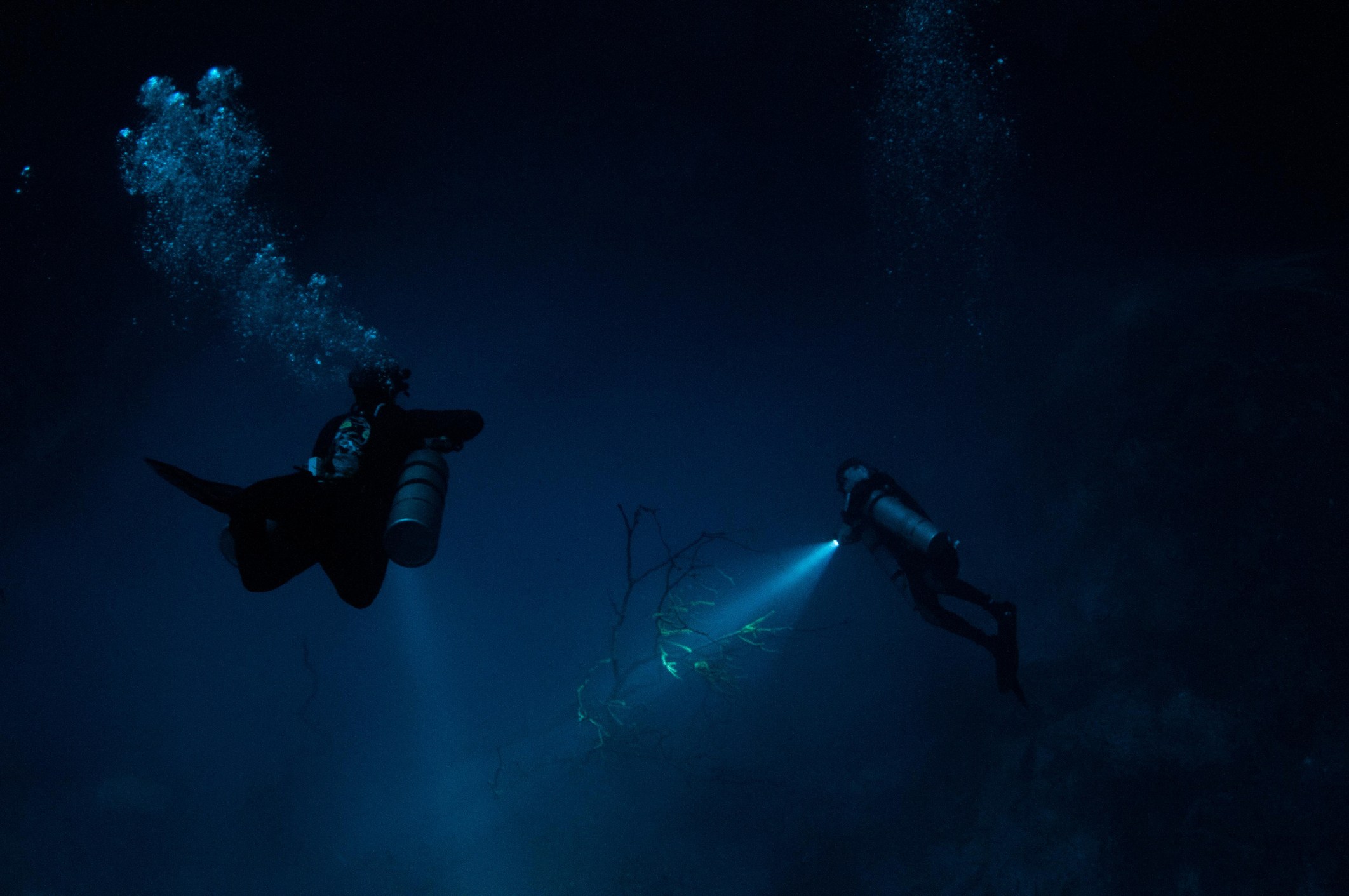 Two divers descend on a night time scuba tour in Kona, HI.